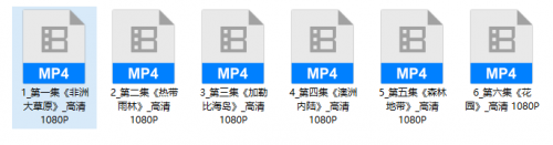 《小小的世界》第一季。微观镜头上演的生命史诗