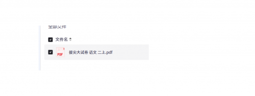 拔尖大试卷语文二上